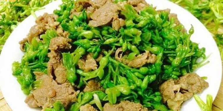 Hoa thiên lý xào thịt lợn - Món ăn tốt cho sức khỏe và hấp dẫn 6 hoa thiên lý xào thịt lợn
