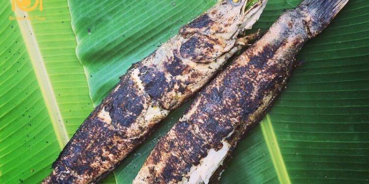 Mách bạn cách làm cá lóc nướng lá chuối thơm ngon đúng điệu 6 Mách bạn cách làm cá lóc nướng lá chuối thơm ngon đúng điệu