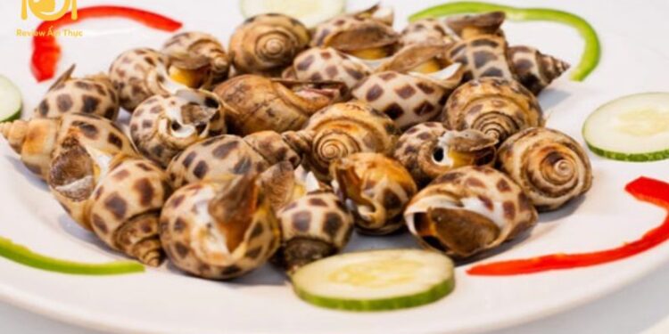 Lưu ngay cách nướng ốc hương bằng nồi chiên không dầu thơm ngon 5 Nắm chắc cách nướng ốc hương bằng nồi chiên không dầu thơm ngon