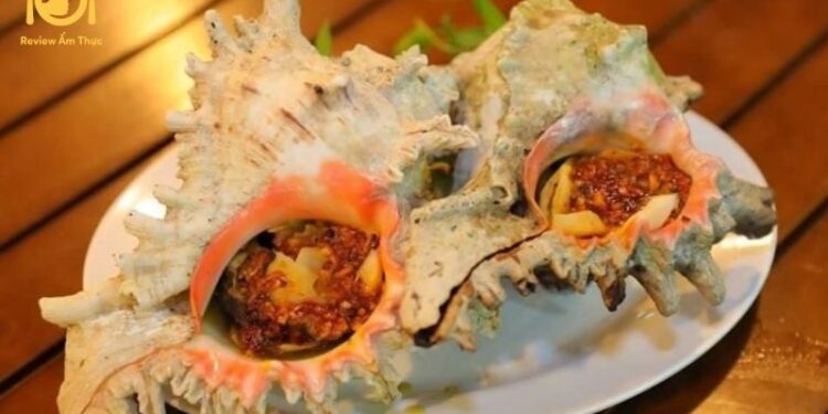 Mách bạn cách làm ốc gai nướng muối ớt siêu ngon ngay tại nhà 6 ốc gai nướng muối ớt