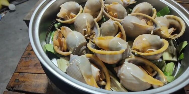 Công thức làm món ốc tỏi nướng tiêu xanh nhất định phải thử 6 ốc tỏi nướng tiêu xanh