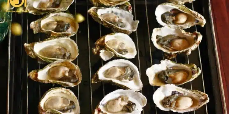 Top 5 quán hàu nướng 6k có lượt đánh giá cao nhất định phải thử