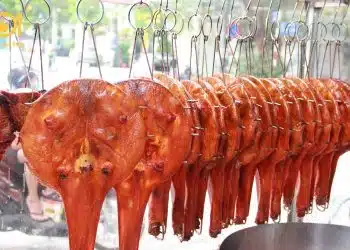 vịt nướng tỳ bà