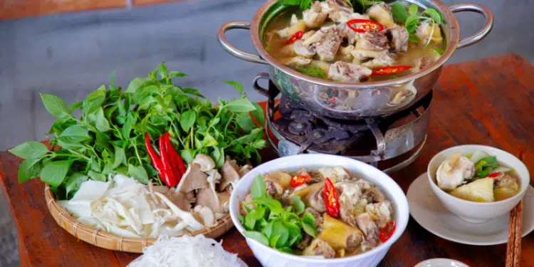 Quán lẩu gà lá é ngon tại Hà Nội - Gà tươi Mạnh Hoạch 4 lẩu gà lá é